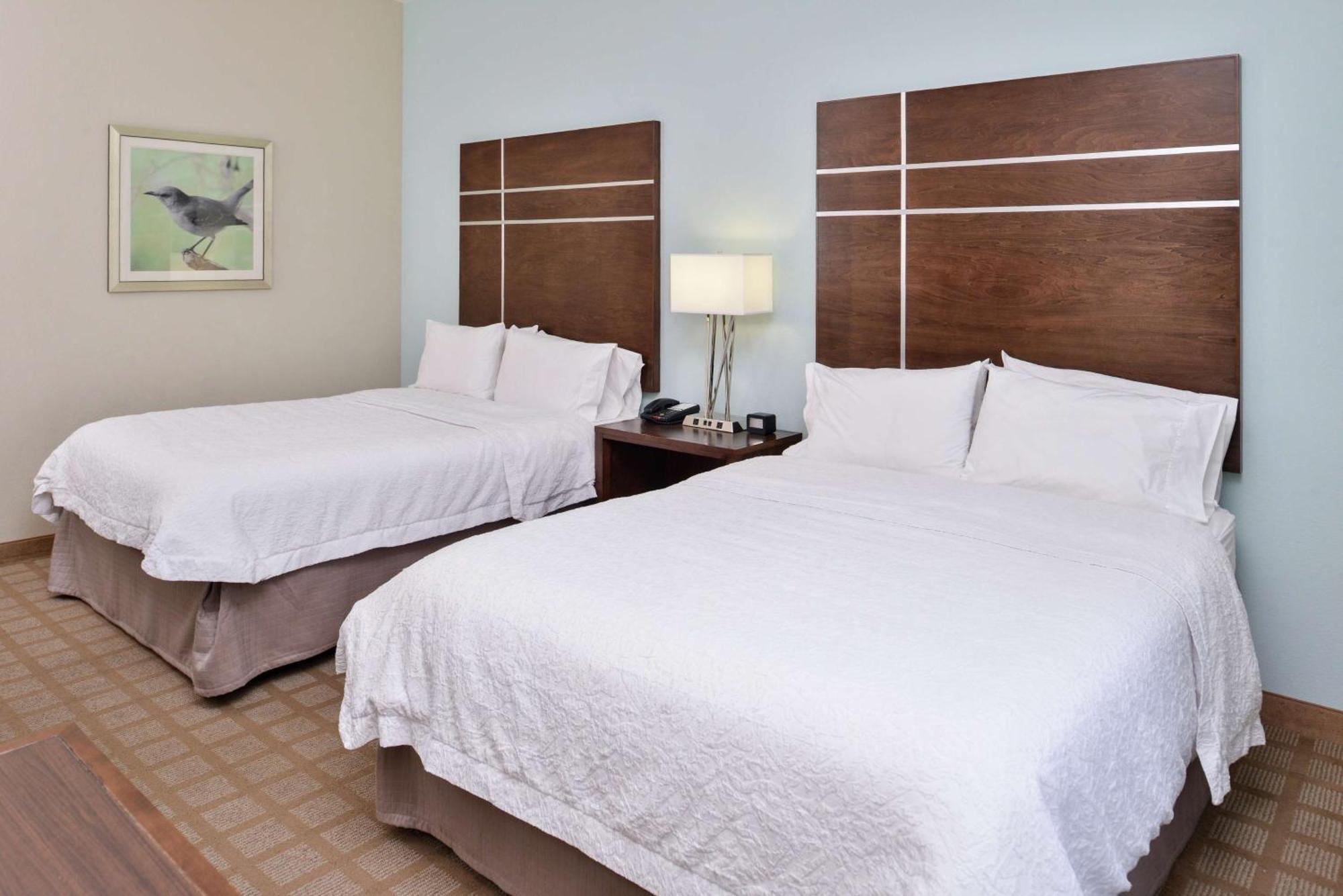 Hampton Inn And Suites Hutto Esterno foto